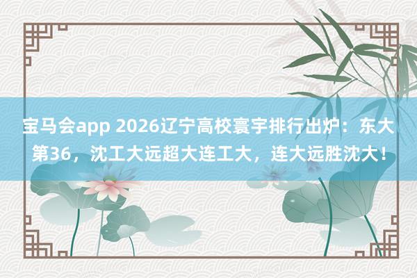 宝马会app 2026辽宁高校寰宇排行出炉：东大第36，沈工大远超大连工大，连大远胜沈大！