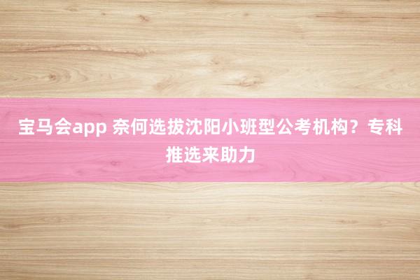 宝马会app 奈何选拔沈阳小班型公考机构？专科推选来助力