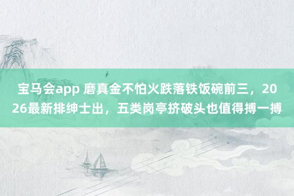 宝马会app 磨真金不怕火跌落铁饭碗前三，2026最新排绅士出，五类岗亭挤破头也值得搏一搏