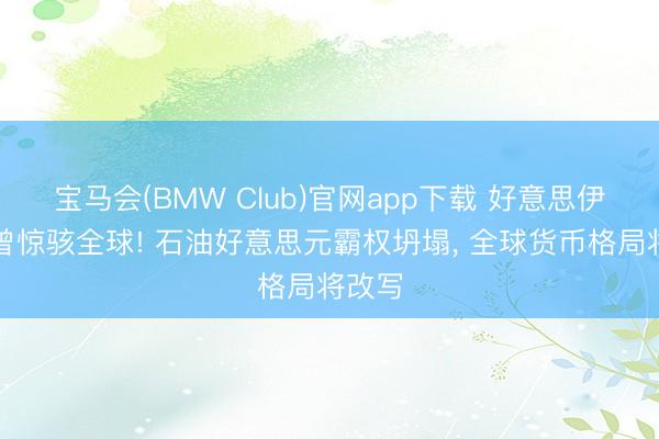 宝马会(BMW Club)官网app下载 好意思伊寝兵曾惊骇全球! 石油好意思元霸权坍塌， 全球货币格局将改写