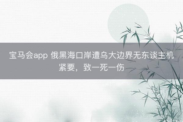宝马会app 俄黑海口岸遭乌大边界无东谈主机紧要，致一死一伤